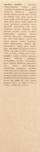 Stila Stay All Day Foundation Concealer Brush Kit Dark 11