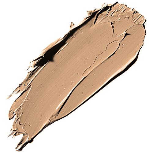 Stila Stay All Day Foundation Concealer & Brush Kit - Caramel 10