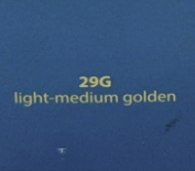 Tarte Rainforest Of The Sea Water Foundation Spf 15 29g Light Medium Golden