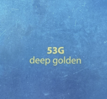 Tarte Rainforest Of The Sea Water Foundation Spf 15 53g Deep Golden