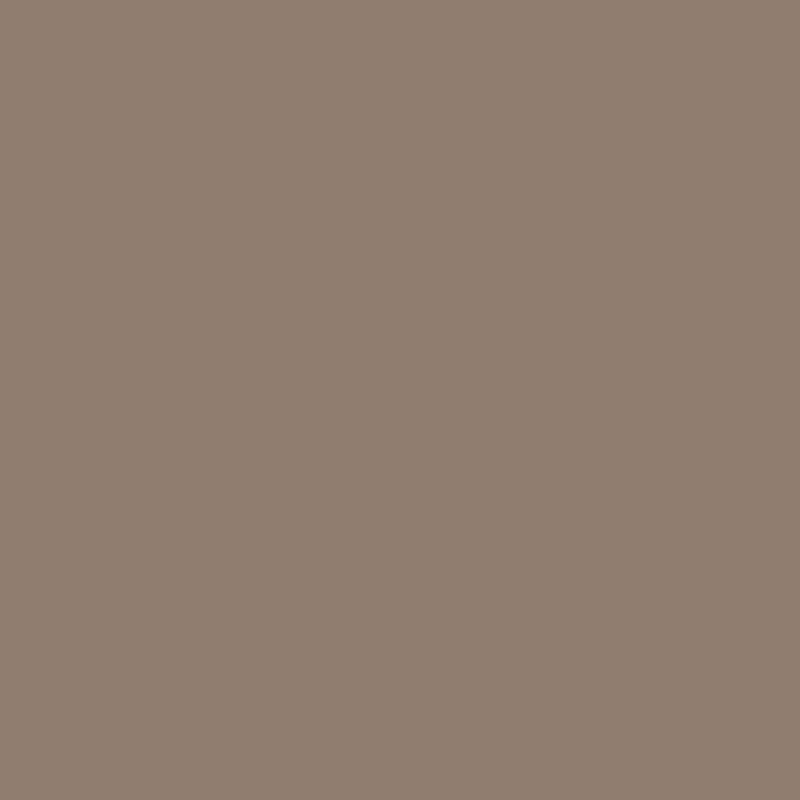 Rev Colorstay Shadowlinks