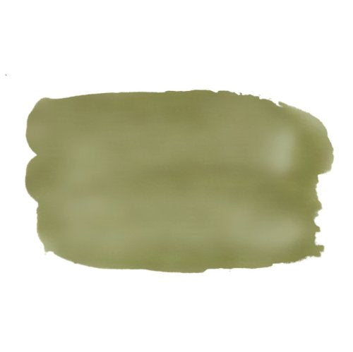 EXPRESS FINISH Lacquer 850 Vert Kaki/Khaki Green Nail Polish by Express