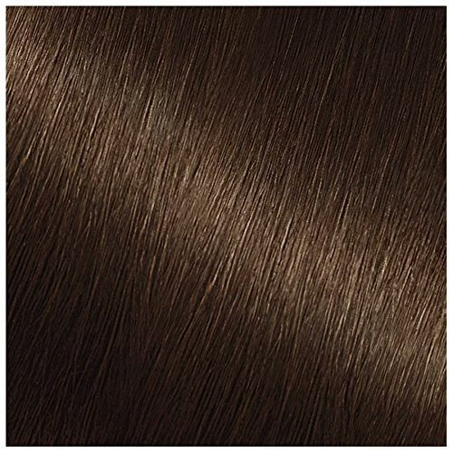 Garnier Nutrisse Nourishing Color Creme 41 Dark Nude Brown